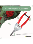серый, красный