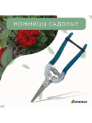 серый, зеленый