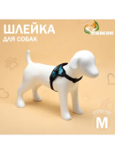 голубой