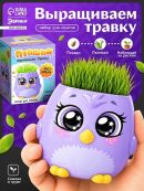 фиолетовый