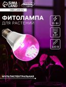 белый