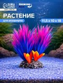 фиолетовый, красный