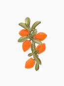 оранжевый, зеленый